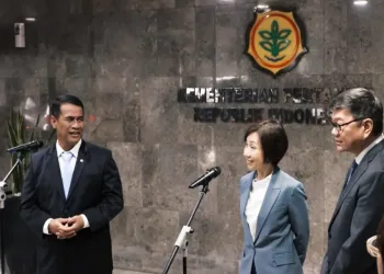 Indonesia Offers Rice Exports to Singapore in Regional Supply Shift
