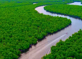 Indonesia Accelerates Blue Economy Drive with UNDP Strategic Partnership