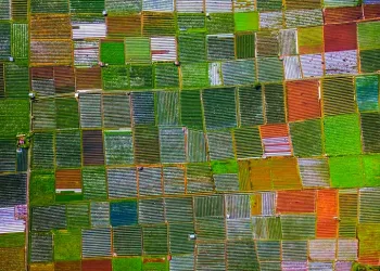 Indonesia, China Expand Strategic Agri-Tech Partnership to Strengthen Food Security