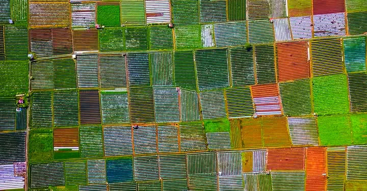 Indonesia, China Expand Strategic Agri-Tech Partnership to Strengthen Food Security