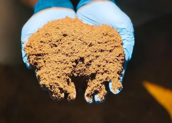 Indonesia Boosts Agricultural Trade with 14,000-Ton Palm Feed Export to New Zealand