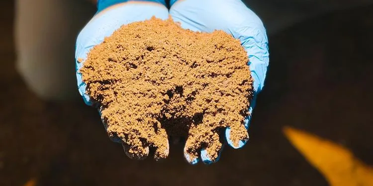 Indonesia Boosts Agricultural Trade with 14,000-Ton Palm Feed Export to New Zealand 1 Indonesia Boosts Agricultural Trade with 14,000-Ton Palm Feed Export to New Zealand