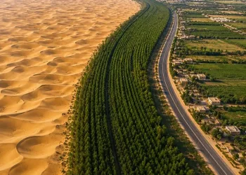 China Plants 66 Billion Trees as Indonesia Accelerates 2 Billion-Tree Climate Drive