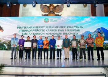 Indonesia Launches Forestry Carbon Hub, Unlocking a US$300 Million Market for Global Climate Investors