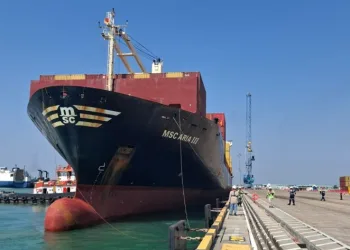 Patimban Port Enters Global Shipping Era, Indonesia Builds New Gateway to World Markets