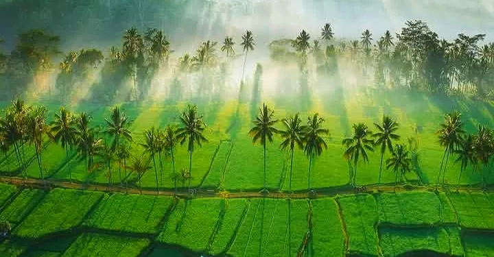 Indonesia-Philippines Forge ASEAN Food Security Partnership 1 Indonesia-Philippines Forge ASEAN Food Security Partnership