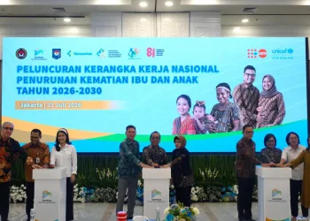 Indonesia Launches Roadmap to Cut Maternal Deaths