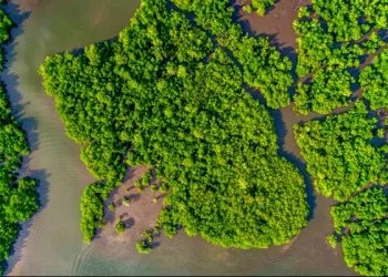 Indonesia Turns Biodiversity into Green Growth Engine