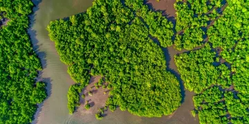 Indonesia Turns Biodiversity into Green Growth Engine