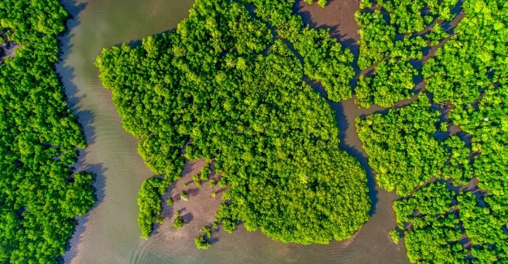 Indonesia Turns Biodiversity into Green Growth Engine