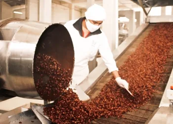 Indonesia’s Cocoa Rise Reshapes Asia’s Chocolate Supply Chain