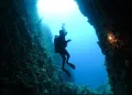 Rare Coelacanth Discovery Puts Indonesia on Global Conservation Map