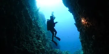 Rare Coelacanth Discovery Puts Indonesia on Global Conservation Map
