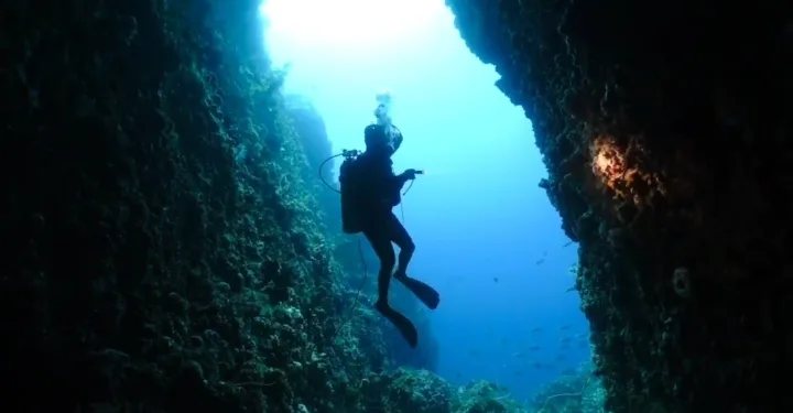 Rare Coelacanth Discovery Puts Indonesia on Global Conservation Map