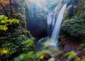 Why North Bali Is Becoming the Favorite Destination for International Travelers