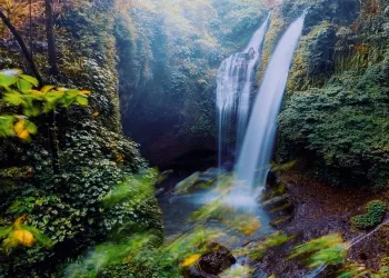 Why North Bali Is Becoming the Favorite Destination for International Travelers